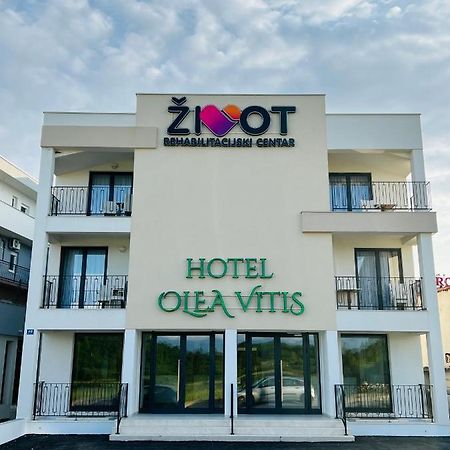 Olea Vitis Hotel Medugorje Bagian luar foto